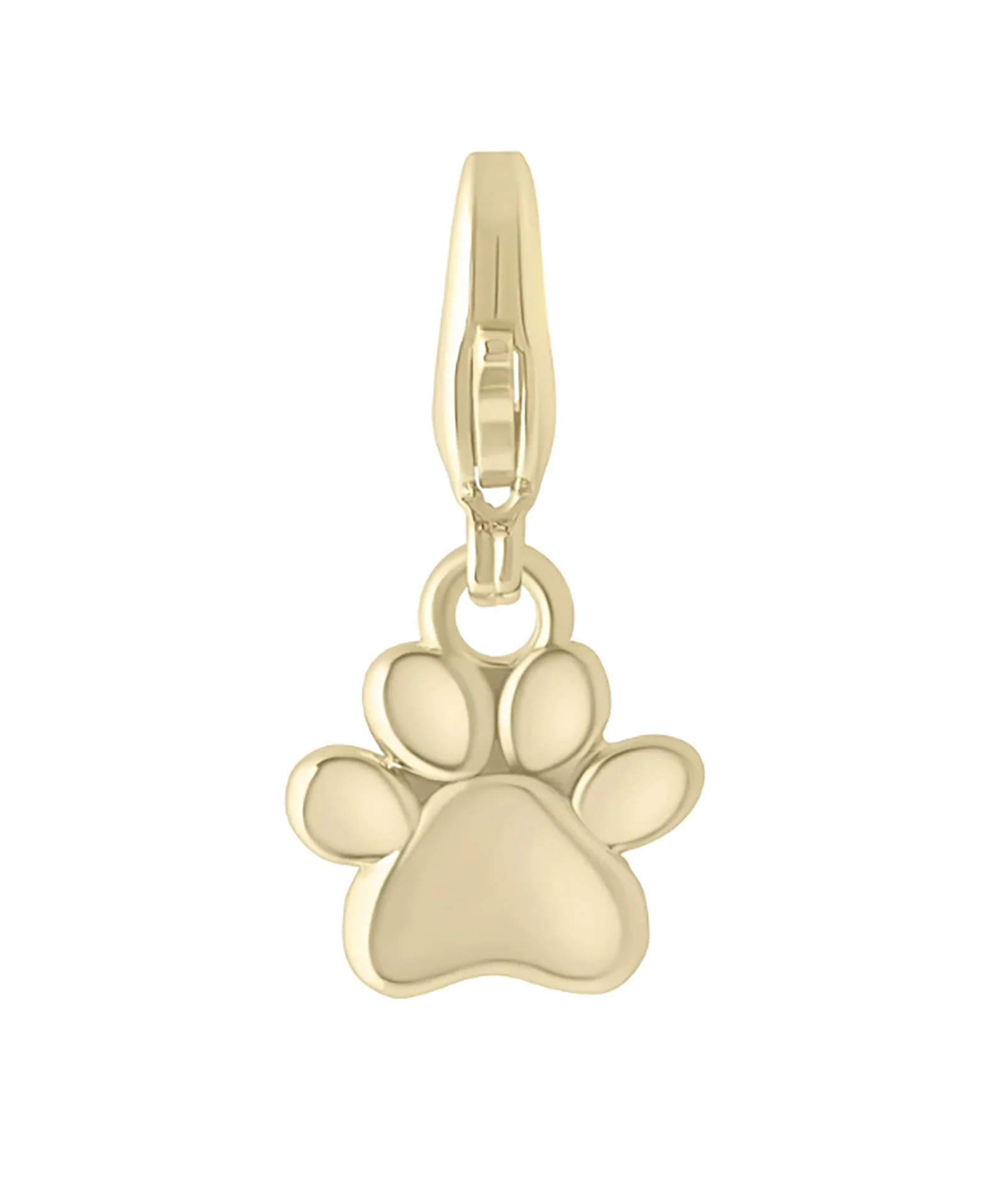 Electric Picks Charm Paw